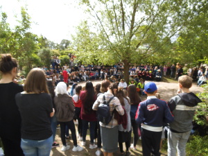 schulf2019 1